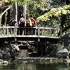卒業写真は橋の上で