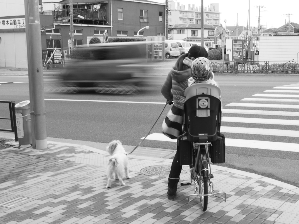 自転車に乗って