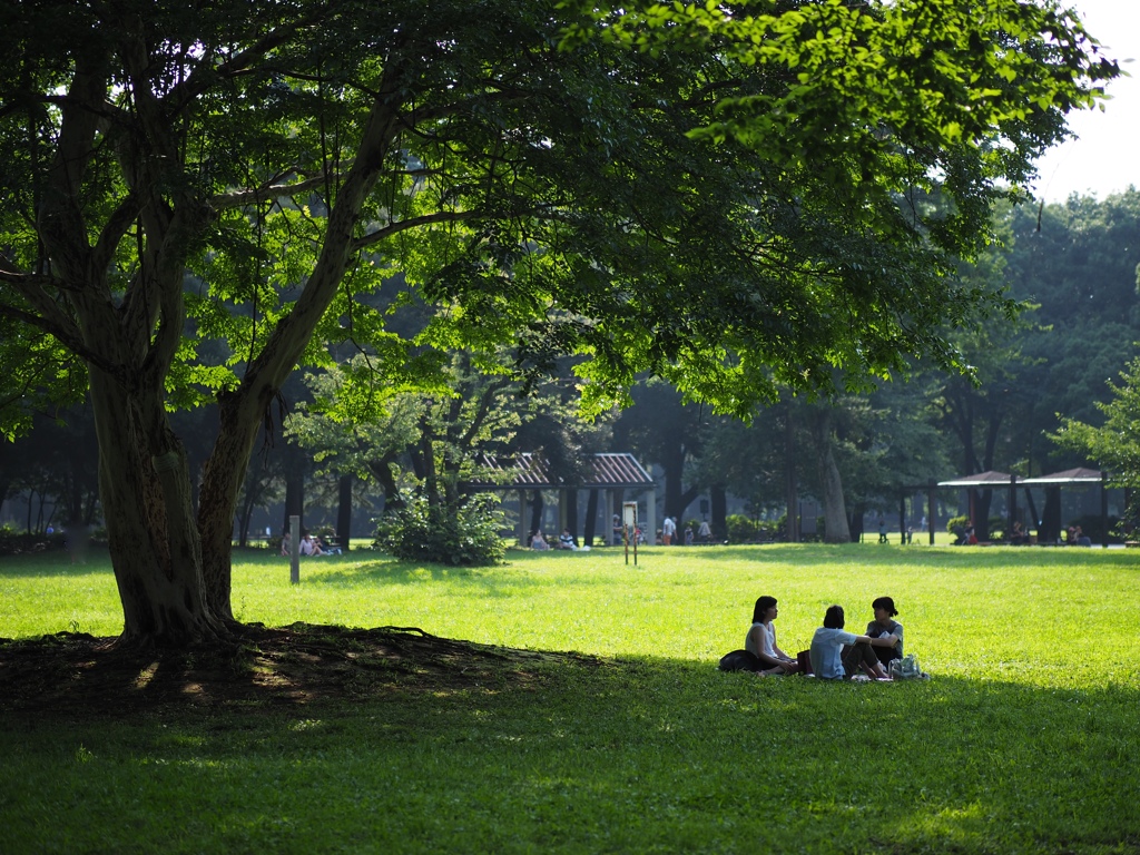 大きな樹の下で By Tohy Id 写真共有サイト Photohito