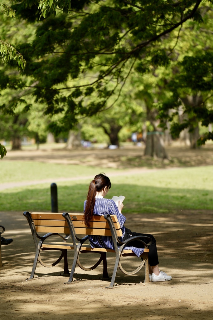 書を持てよ、公園へ出よう（ベンチ編）