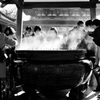 賀正