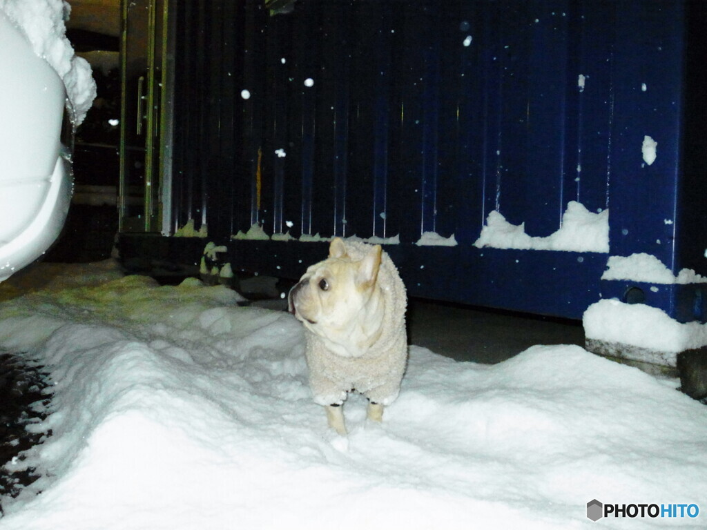 びっくり