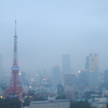 霞む東京タワー