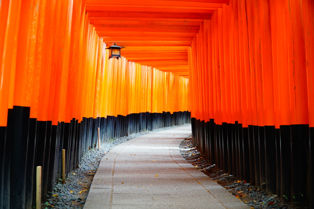 千本鳥居