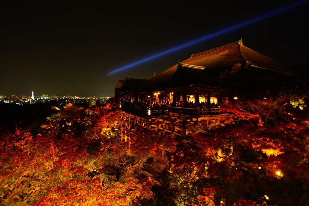 清水寺 夜紅葉