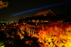 清水寺 夜紅葉