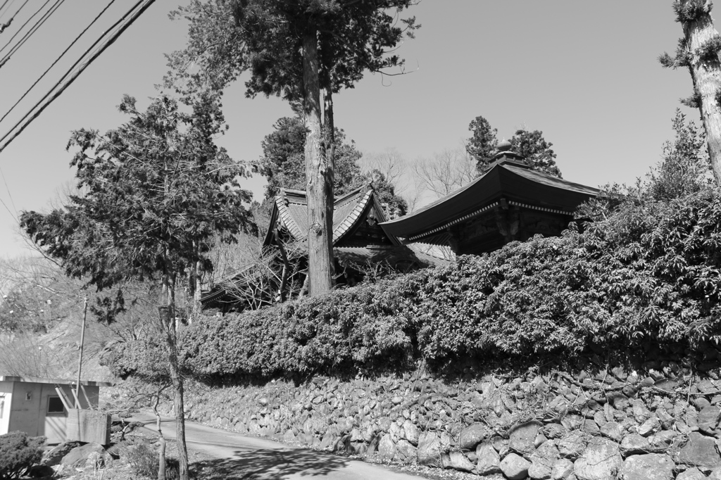 四萬部寺ー03