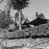 四萬部寺ー03