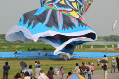 大きい鯉のぼり！