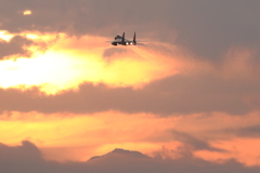 梅の季節114　新田原基地485