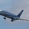 787