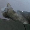 「吾輩は猫である」の猫に会ってきました……