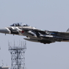 新田原基地113