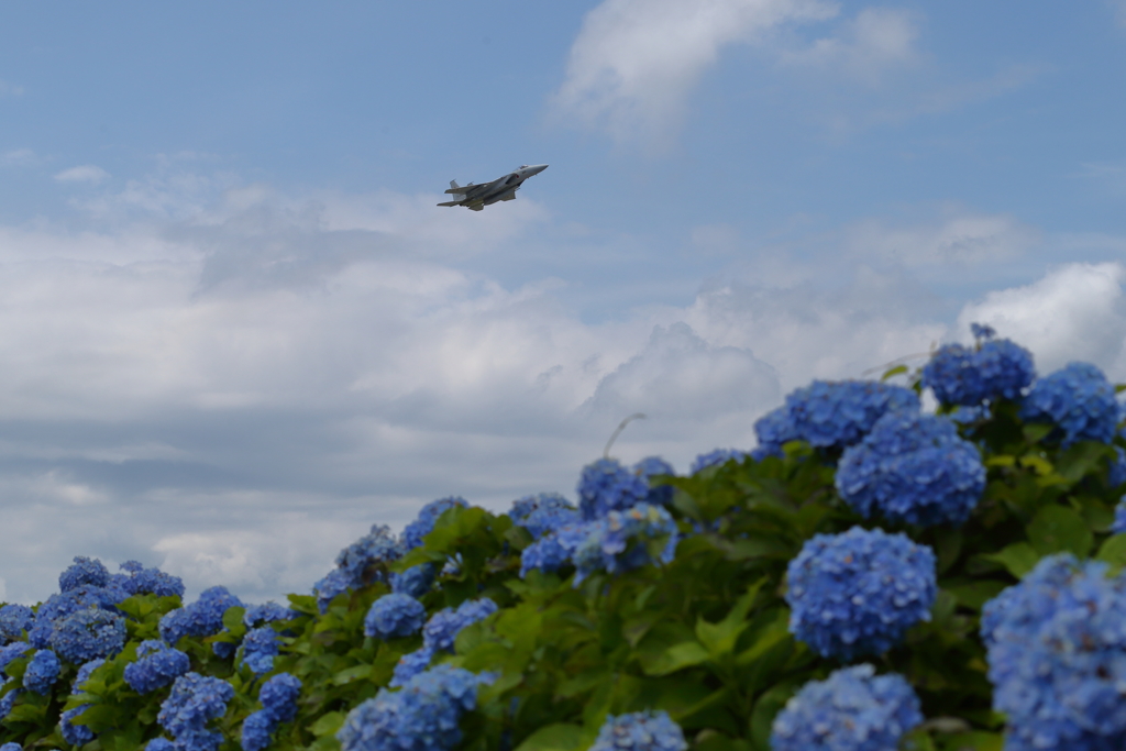 新田原基地479
