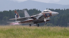 F15 39 航空自衛隊アグレッサー