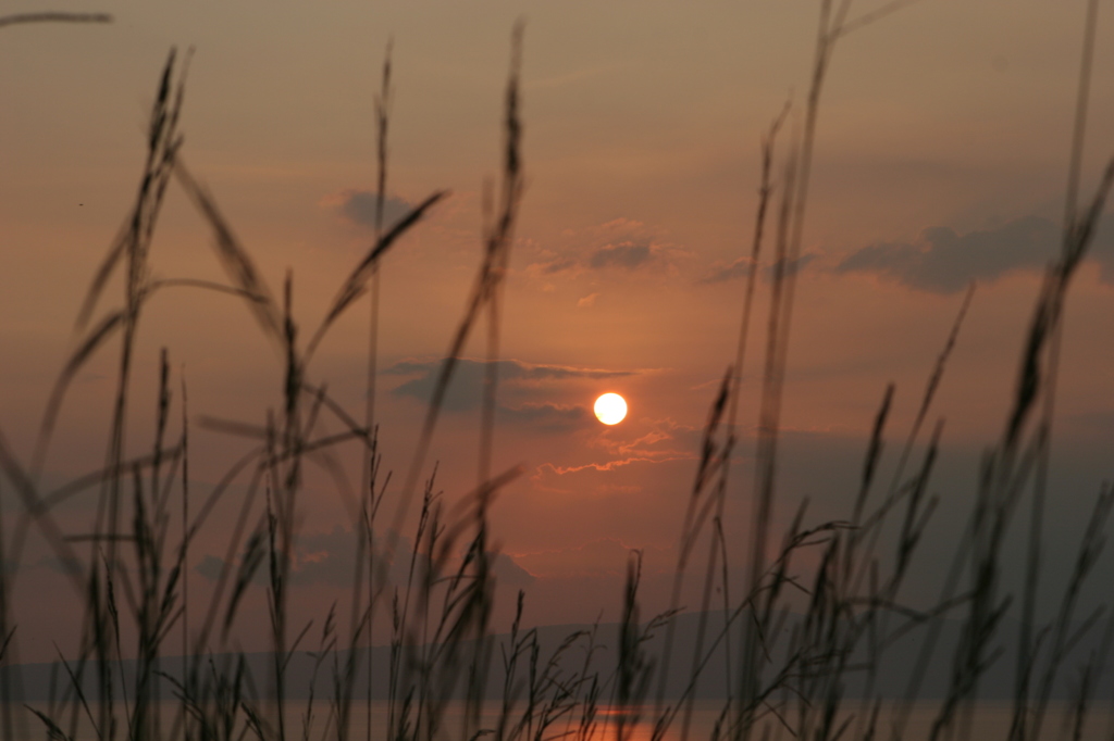 夕日