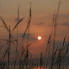 夕日
