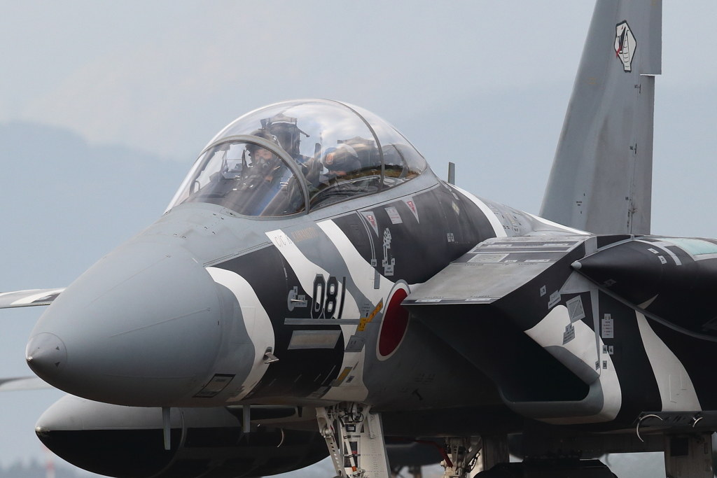 新田原基地294