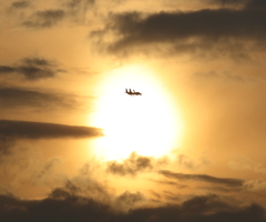 新田原夕景