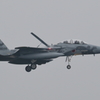 NYUTA ONE ZERO - 16