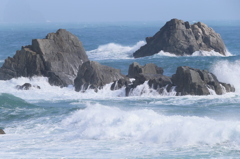 海1