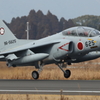 小梅の季節