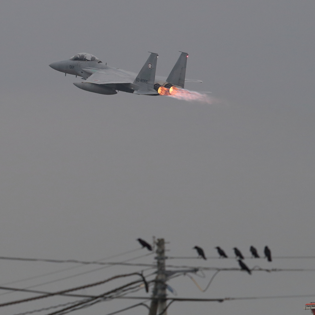 梅の季節42　新田原基地266