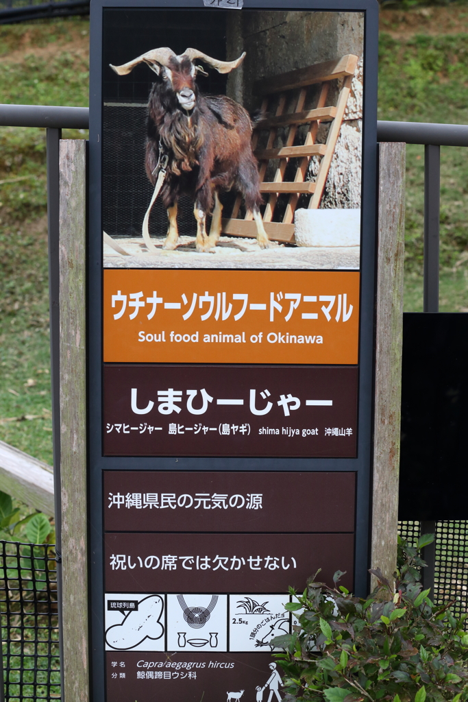 僕を食べたらダメｴ〜