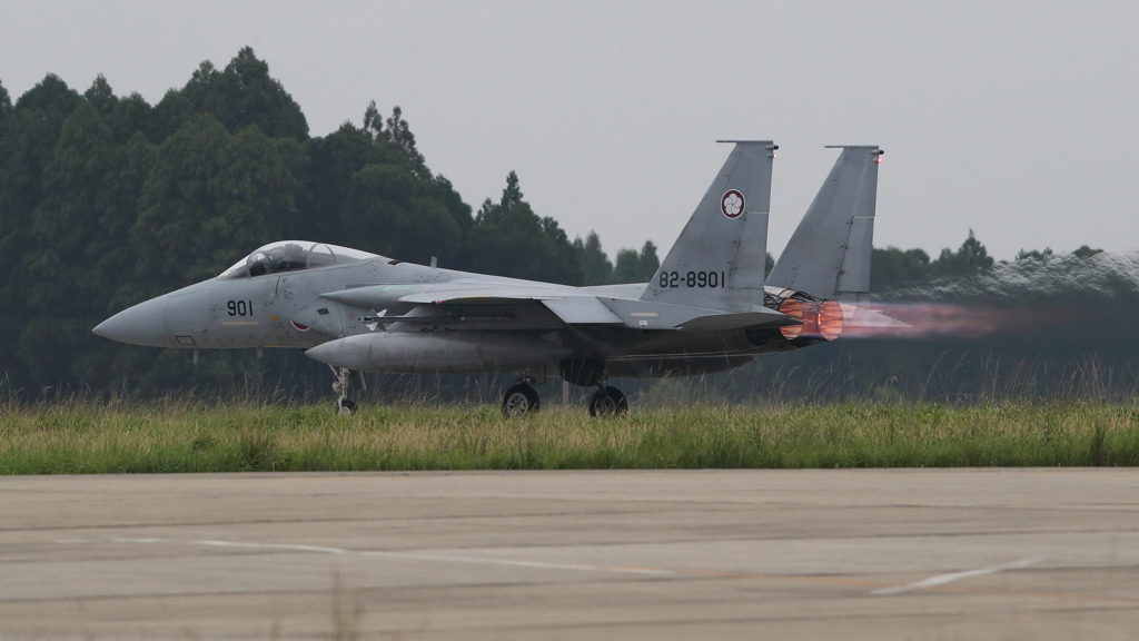 梅の季節37 新田原基地258　