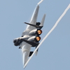 機動飛行　梅の季節212
