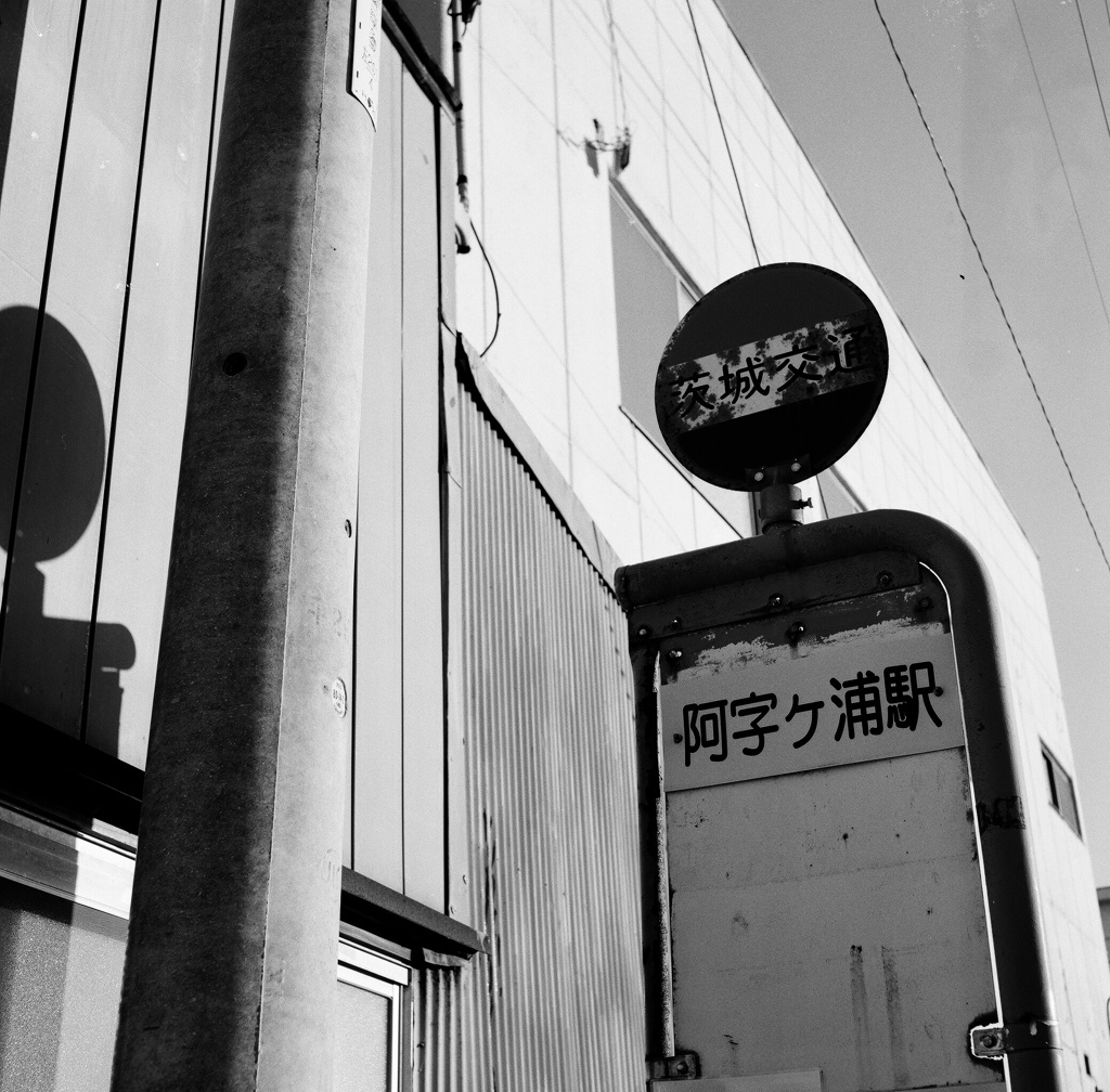 枯れた東洋のハワイ