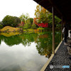 養浩館庭園＃2