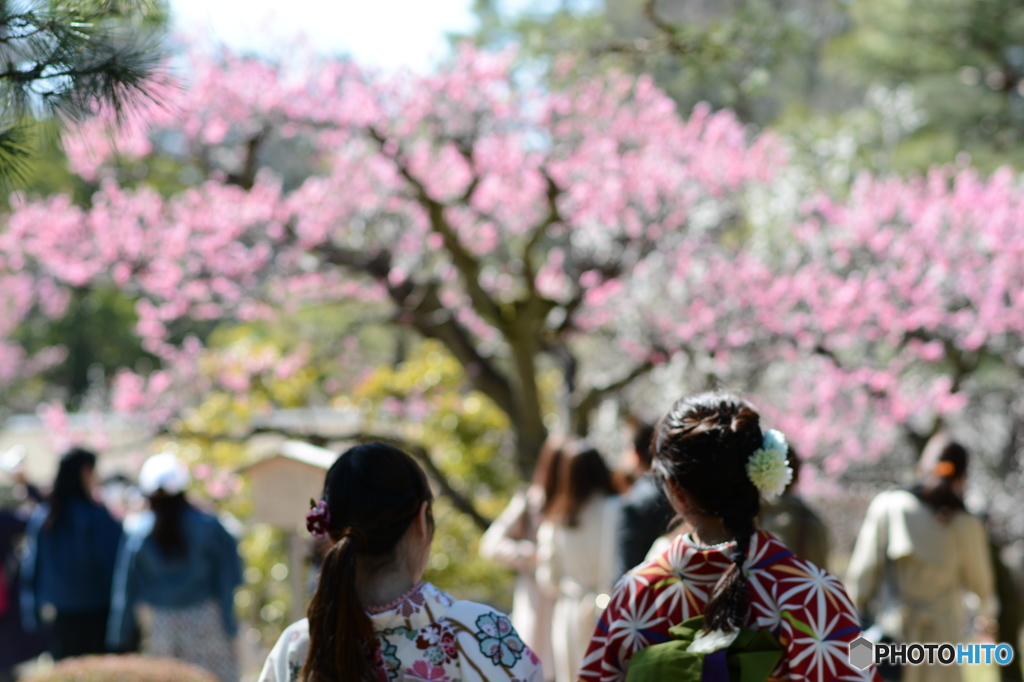 春の兼六園