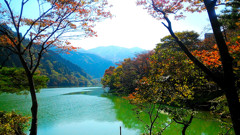 庄川水記念公園