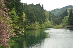 群青の池