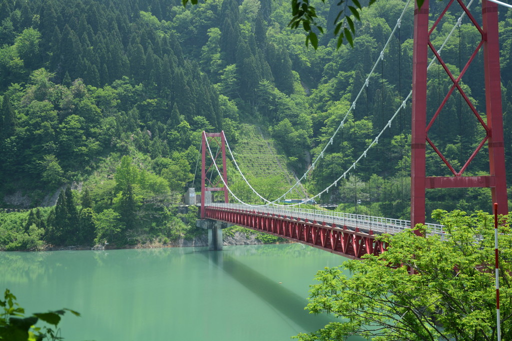 新緑の深瀬大橋