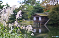 秋の装いの庭園