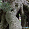 「覗き」