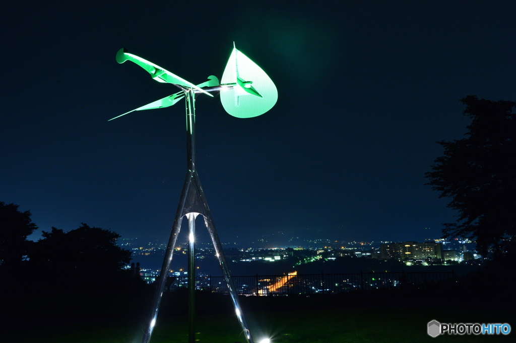 WIND　TREE