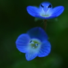 春色