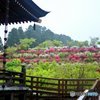 境内の眺望＃2
