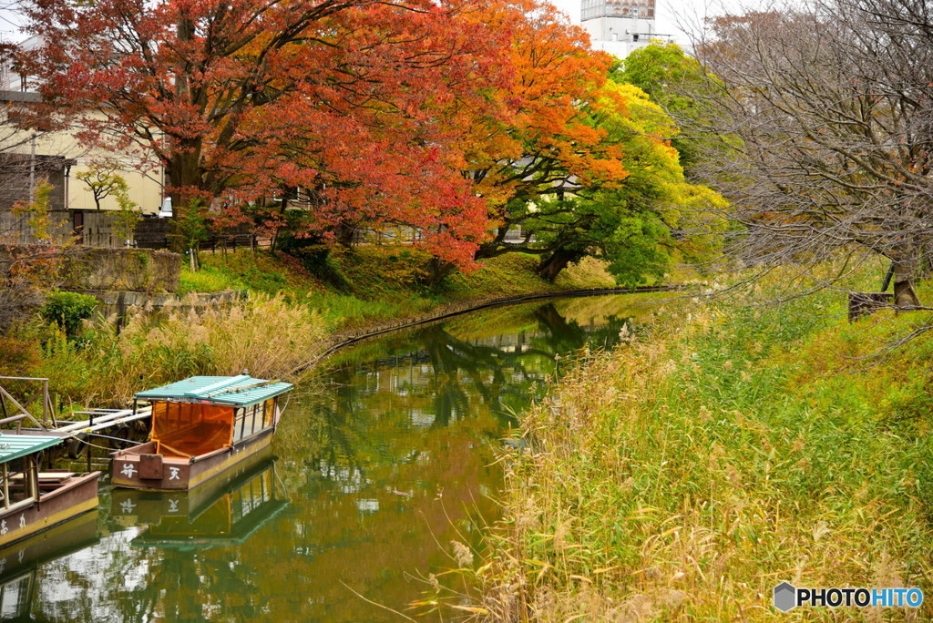 大聖寺の秋景