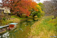 大聖寺の秋景