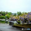 境内の眺望