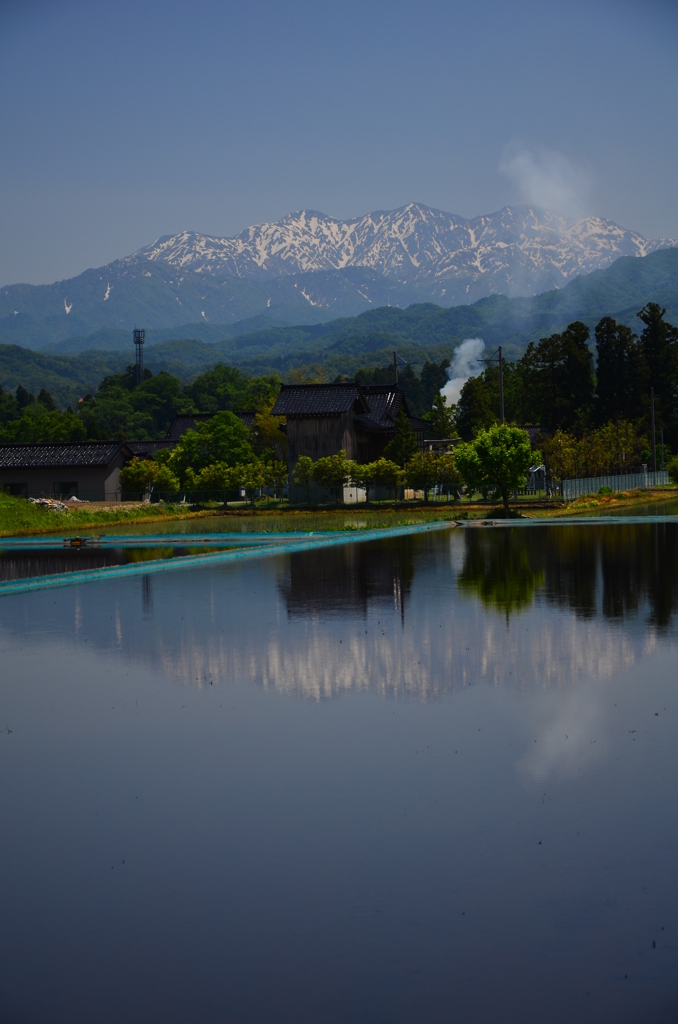 山滴る