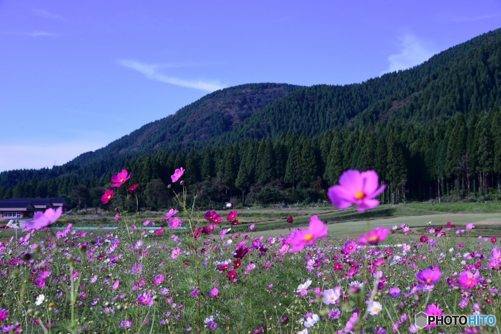 謙虚な里山