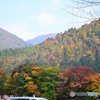 紅葉真っ盛り♪