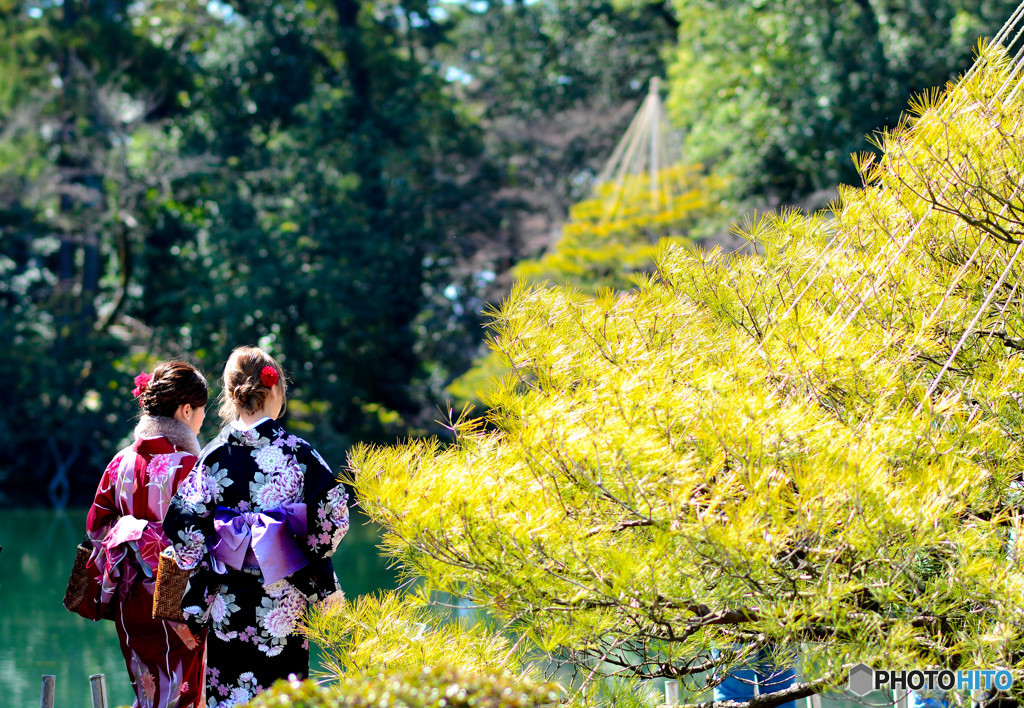 春の兼六園#2