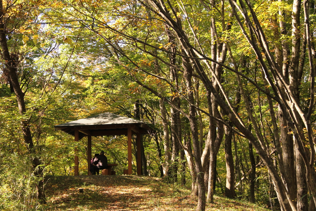 ひとときの時間…