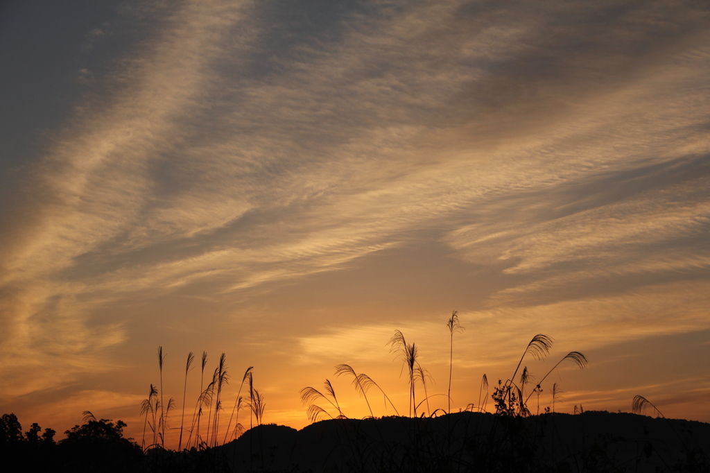 秋の空